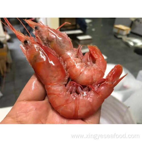 Frozen Red Deep Sea Prawn